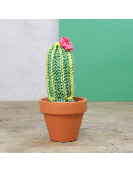 Kit crochet - Cactus