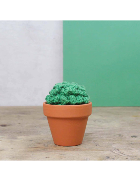 Kit crochet - Cactus