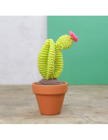 Kit crochet - Cactus