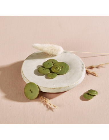 Bouton Palm - Matcha Leaf