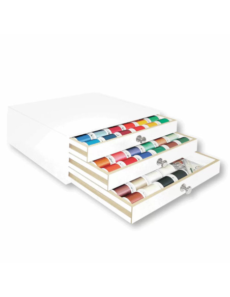 Coffret fils à broder machine Rayon Madeira 1000 m