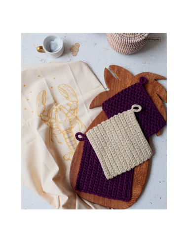 Livre apprendre le crochet en 10 leçons