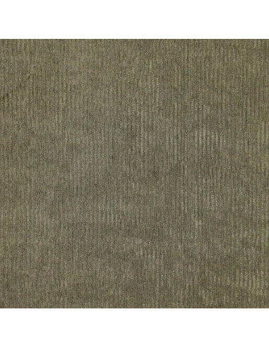 Tissu velours côtelé - Kaki