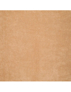 Tissu velours côtelé - Beige 2