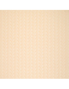 Tissu broderie anglaise extensible - Beige clair 2