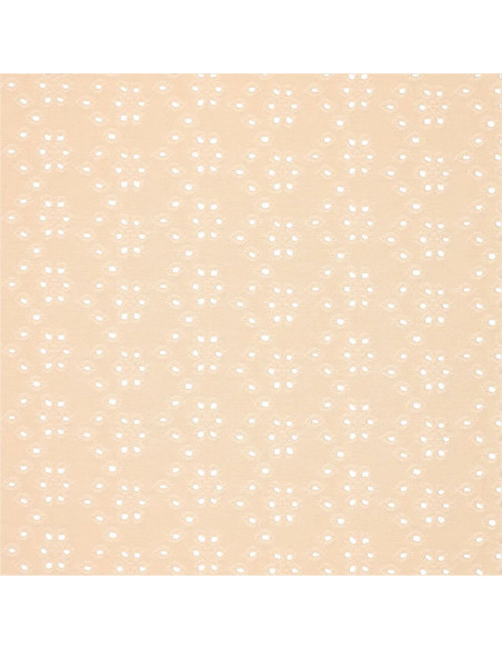 Tissu broderie anglaise extensible - Beige clair