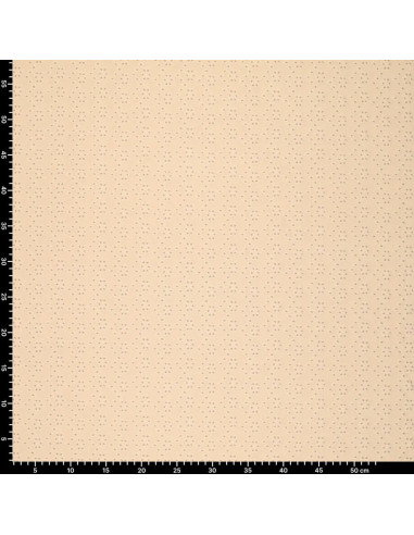 Tissu broderie anglaise extensible - Beige clair