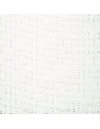 Tissu broderie anglaise extensible - Écru