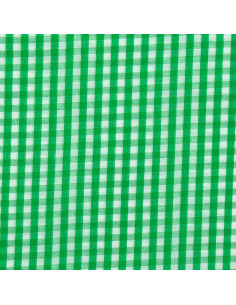 Tissu popeline de coton - Vichy grands carreaux - Vert 2