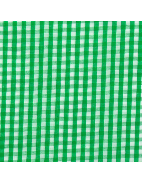 Tissu popeline de coton - Vichy grands carreaux - Vert