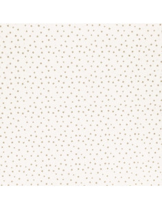 Tissu popeline de coton fantaisie - Étoile galet 2