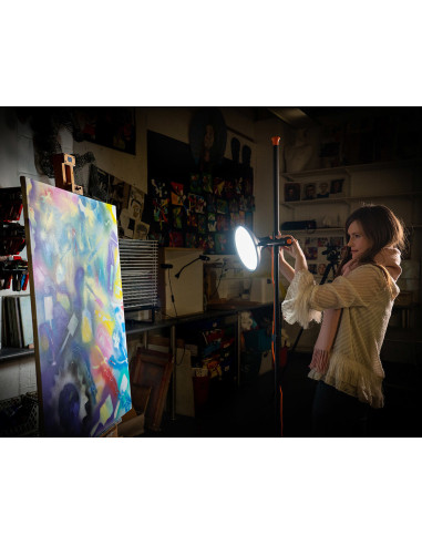 Lampe Daylight Artist Studio Lamp 2