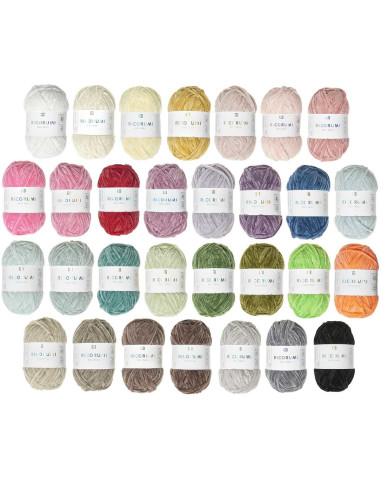 Coffret 30 pelotes de fil Ricorumi Nilli Nilli