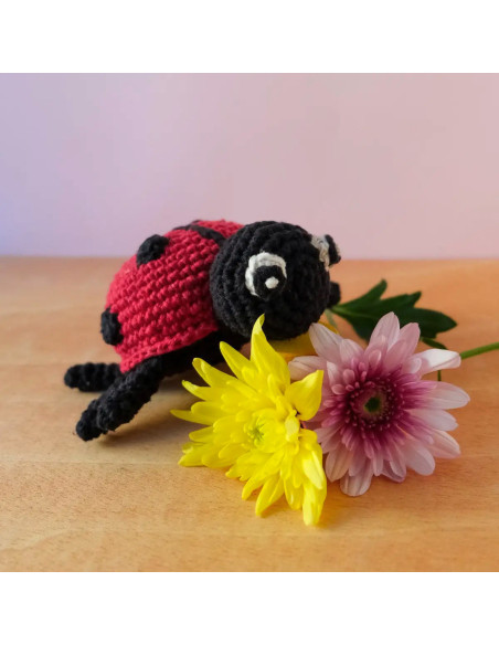 Kit crochet - Daisy la coccinelle
