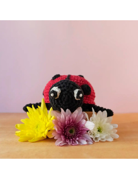 Kit crochet - Daisy la coccinelle