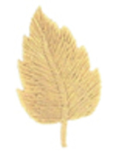 Écusson thermocollant feuille beige