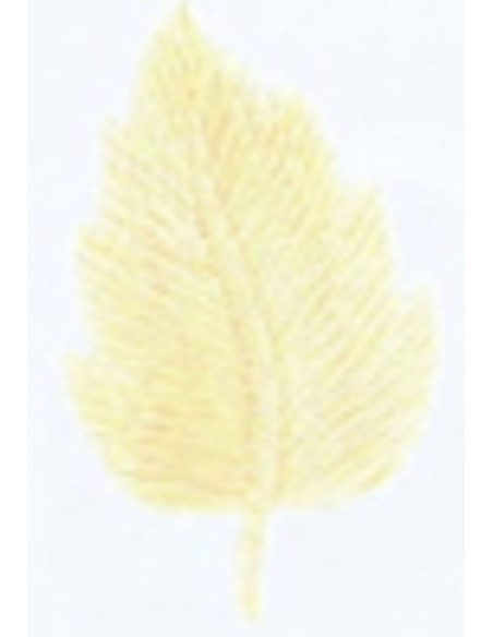 Écusson thermocollant feuille écrue