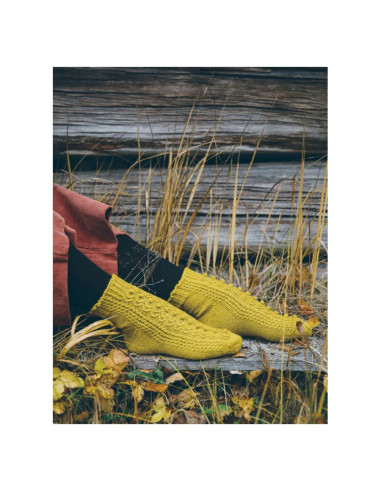 Livre 52 chaussettes à tricoter toute l´année