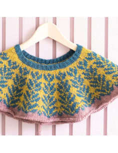 Livre tricot yoke 2