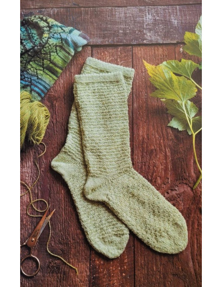 Livre je tricote des chaussettes