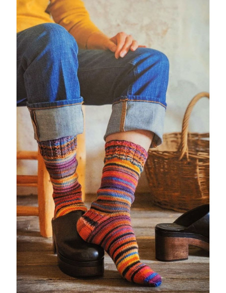 Livre je tricote des chaussettes