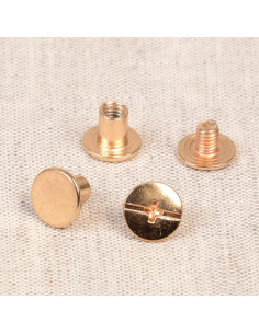 8 sets de vis chicago 10 mm x 6 mm - Or