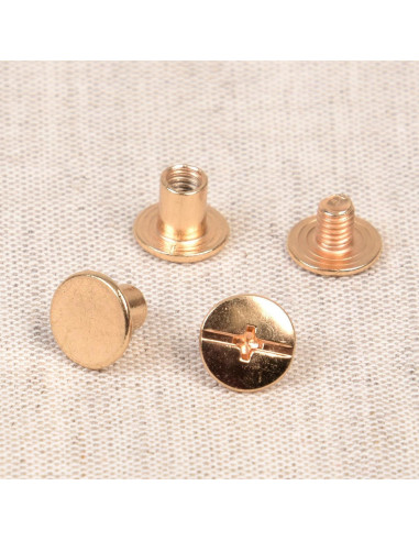 8 sets de vis chicago 10 mm x 6 mm - Or