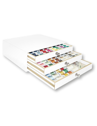 Coffret fils à broder machine Rayon Madeira 200 m