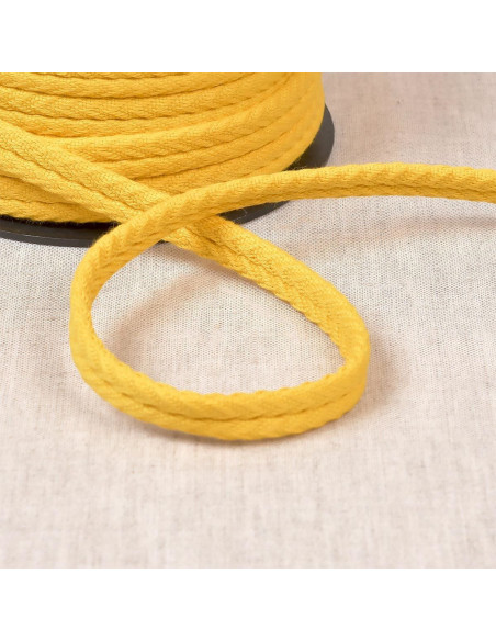Cordon double passepoil chevrons - Jaune or