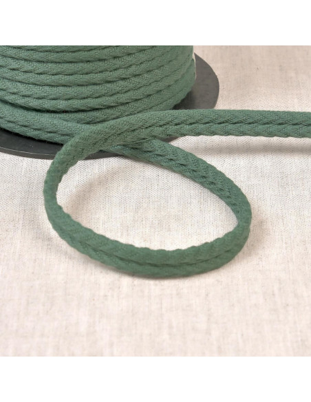 Cordon double passepoil chevrons - Vert bouteille