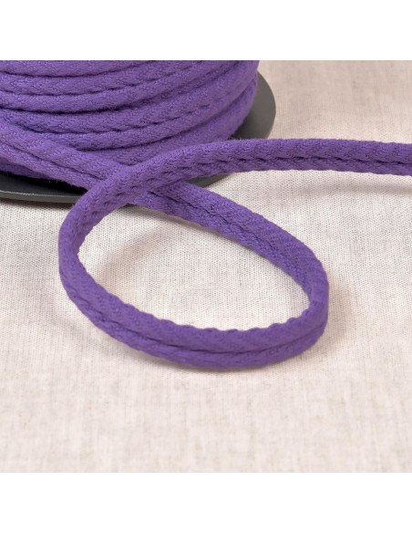 Cordon double passepoil chevrons - Prune