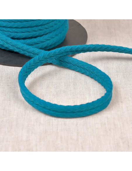 Cordon double passepoil chevrons - Bleu canard