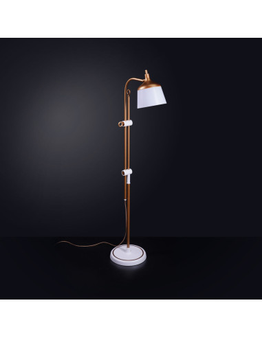 Lampe sur pied avec loupe, plateau et pince téléphone Daylight Anita
