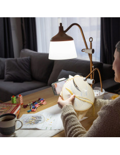 Lampe sur table avec loupe, plateau et pince téléphone Daylight Anita 2
