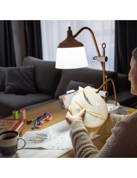 Lampe sur table avec loupe, plateau et pince téléphone Daylight Anita
