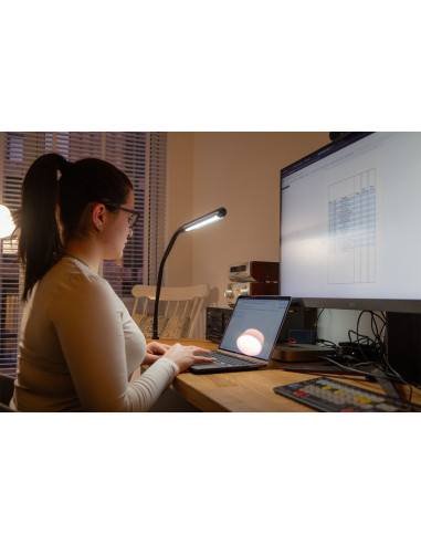 Lampe sur table Daylight Electra