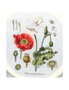 Livre le grand livre des fleurs brodées 2