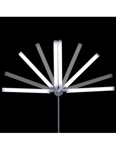 Lampe de table DuoPro Daylight