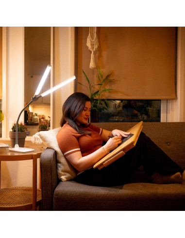 Lampe de table DuoPro Daylight