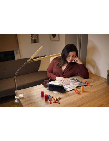 Lampe sur pince DuoPro Daylight