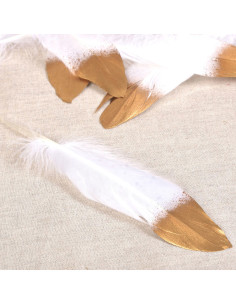 Set de 10 plumes finition dorée - Blanc