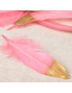Set de 10 plumes finition dorée - Rose