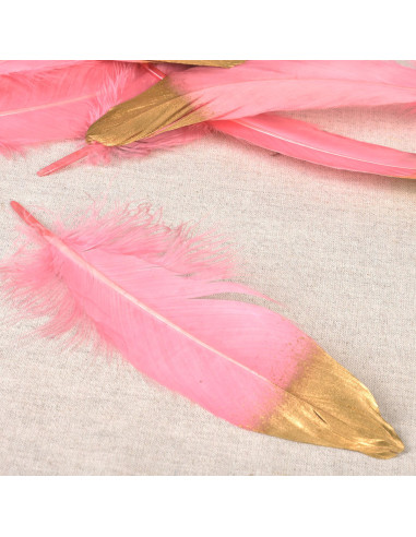 Set de 10 plumes finition dorée - Rose