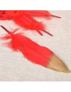 Set de 10 plumes finition dorée - Rouge
