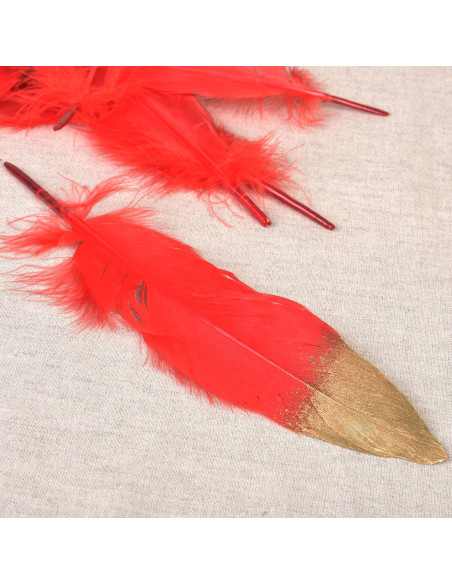 Set de 10 plumes finition dorée - Rouge