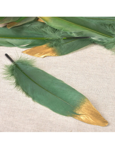 Set de 10 plumes finition dorée - Vert