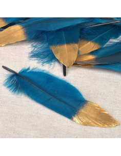 Set de 10 plumes finition dorée - Bleu