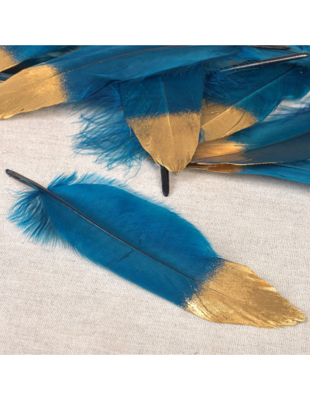 Set de 10 plumes finition dorée - Bleu