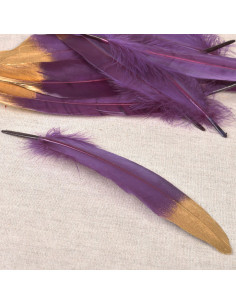 Set de 10 plumes finition dorée - Violet