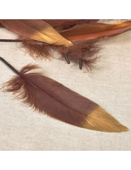 Set de 10 plumes finition dorée - Marron